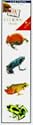 Frogs (DK Stickers, Tattoo Strip)