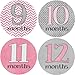 Girly Gray Monthly Baby Bodysuit Stickers