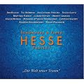 Hesse-Projekt