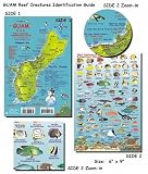 Guam Reef Fish and Creature Guide