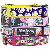 Blueberry Pet Spring Collars 3/4" M Summer Welcoming Rose Flower Prints Girly Adjustable Padded Dog Collar for Medium Dogs, Matching Harness Availbale Separately