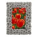 Daisy Flower Frame - Pewter (4x6")