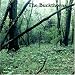 Search : Branching Out