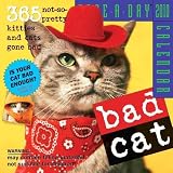 Bad Cat Color Page A Day 2010 Daily Boxed Calendar 610c0i2zBQL. SL160 Bad Cat Color Page A Day 2010 Daily Boxed Calendar