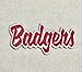 Badgers - Red/White - Team Mascot - Words/Names - Iron on Applique/Embroidered Patch