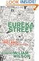 Eureka Street: A Novel of Ireland Like No Other