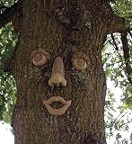 Smiley Forest Face