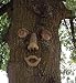 Smiley Forest Face
