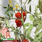 Eigenschaften Windhager  / Windhager Tomatenspiralstäbe 180cm