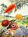 Portrait of Flowers and Tree Native to Australia - 24