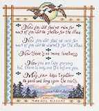 Janlynn Cross Stitch Kit, 10-Inch by 8-Inch, Apache Wedding Blessing