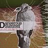 Image of album by The Dangerous Summer