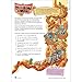 School Zone Third Grade Scholar Workbook: 64 Pages, 3rd Grade, Parts of Speech, Punctuation, Writing, Math, Addition & Subtraction, Social Studies, Science, Ages 7+