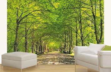 Platin Art Wall Mural Deco Wall Romantic Avenue 8-Feet 4-Inch by 12-Feet