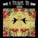 Tribute to Incubus