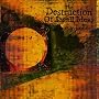 The Destruction of Small Ideas