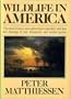 Wildlife In America: Revised Updated