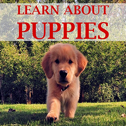 Children's Book: Puppies Books for Kids [learn about puppies], by Kevin Smith