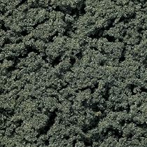 Clump Foliage, Dark Green