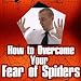 Your Fear of Spiders - Everything You Need to Know