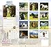 Horses 2017 Monthly Wall Calendar for Horse Lovers (16 Month)
