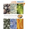 Pattern, Colour and Form: Creative Approaches by Artists