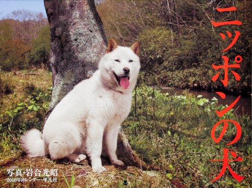 2010年カレンダー ニッポンの犬