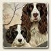 AbsorbaStone Tumbled Stone 4 Piece Coaster Set With English Springer Spaniel Dog