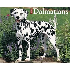 Just Dalmatians 2009 Calendar