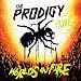 Anklicken zum Vergrößeren: The Prodigy - Live - the World'S on Fire (Ltd. Edt.CD +Dvd) (Audio CD)