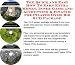 The Quick and Easy How To Earn Extra Money, Inner Game and Accounting & Finance for Pilates DVDs Biz 3 CD Package
