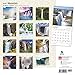 Waterfalls 2016 Wall Calendar