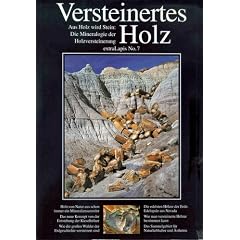 Versteinertes Holz: Aus Holz wird Stein: Die Mineralogie der Holzversteinerung