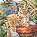 Janlynn Cat in Sun Counted Cross Stitch Kit #023-0559