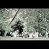 "I'll Believe In Anything" from Apologies to the Queen Mary