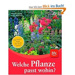 Welche Pflanze passt wohin?