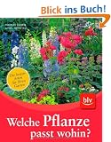 Welche Pflanze passt wohin?