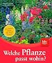 Welche Pflanze passt wohin?