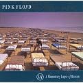 A Momentary Lapse of Reason (Lyrics included with album)