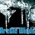Arctic Winds by Maggi Payne