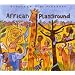 African Playground
