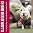 Damn Good Dogs: The Real Story of Uga, the University of Georgia's Bulldog Mascots