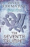 The seventh trumpet