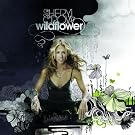 Wildflower