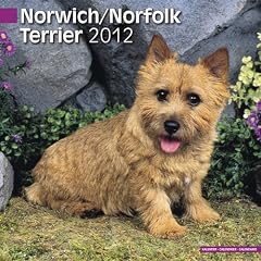 Norfolk Terrier Wandkalender 2012 [Kalender]