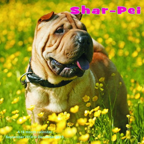 Shar-Pei Calendar - 2015 Wall calendars - Dog Calendars - Monthly Wall Calendar by Magnum