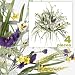 FOUR 17" Pansy Astilbe Mixed Artificial Flower Grass Arrangement _Purple Yellow