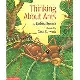 thinking about ants