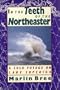 In the Teeth of the Northeaster
