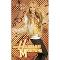 Hannah Montana Shining Star Wall Plaque - 6.25x10"